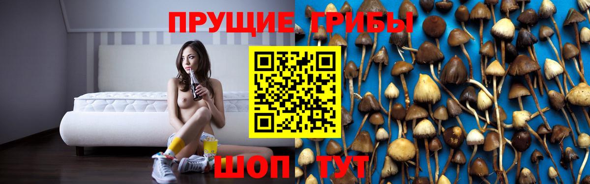 Псилоцибиновые грибы мицелий Михайловка
